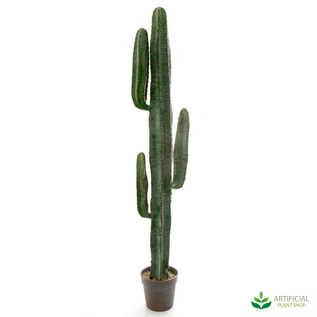 Tall artificial cactus plant
