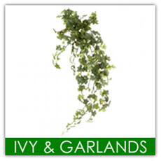 Ivy & Garlands