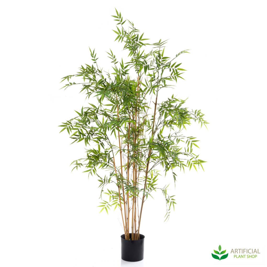 Oriental bamboo tree with real timber trunks