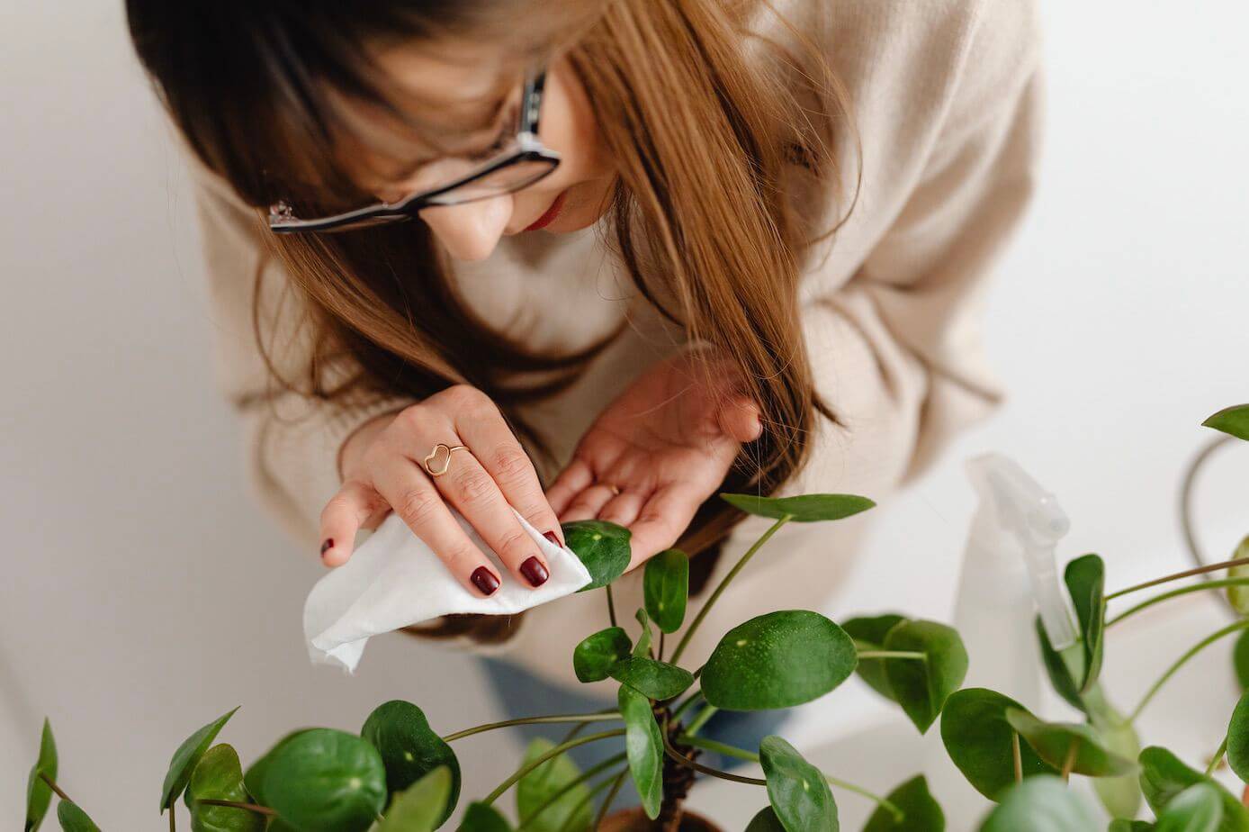 woman cleaning an artificial plant