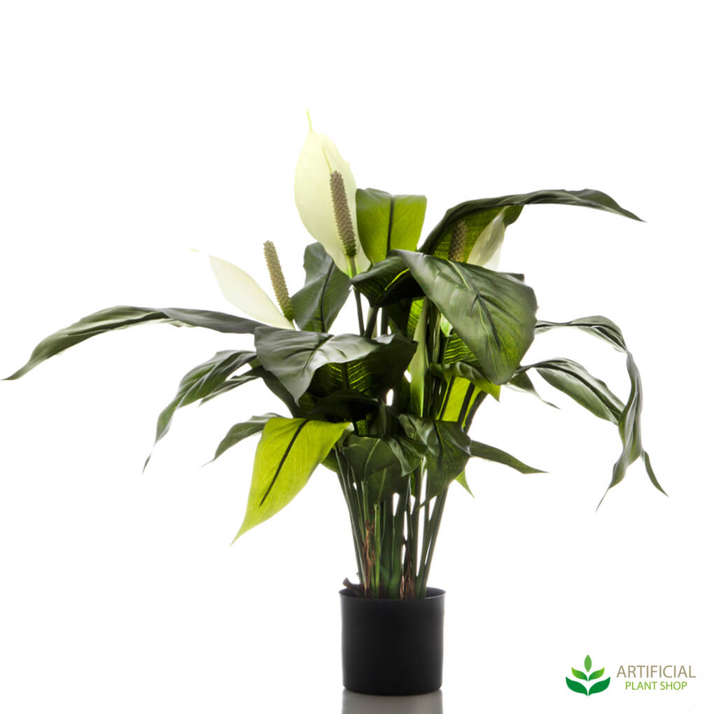 Artificial peace lily plant