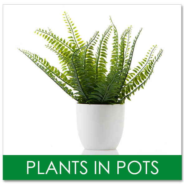 Fake Plants in Pots