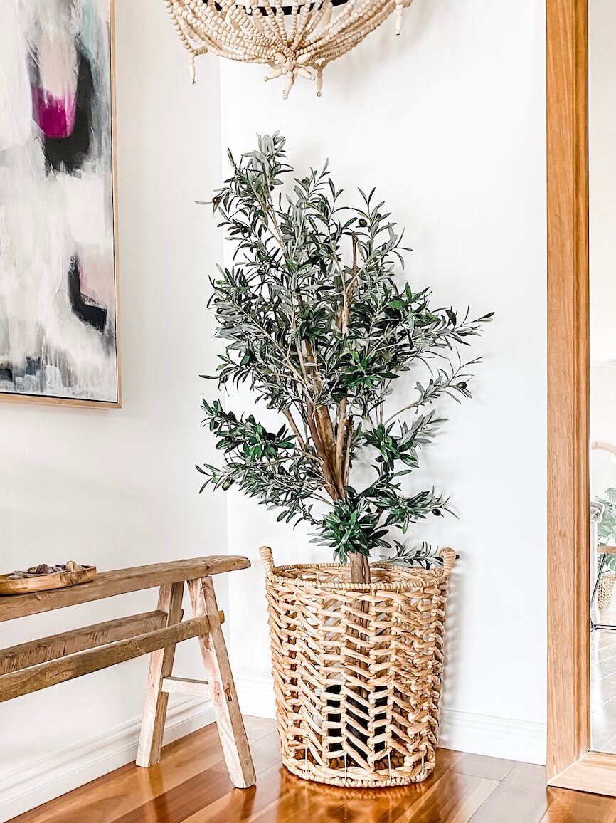 fake olive tree in a coastal home