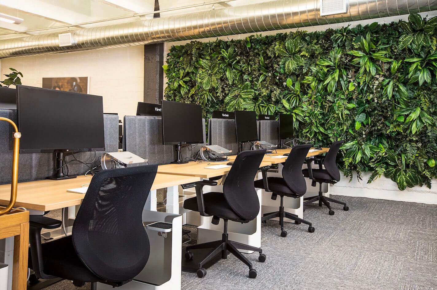 artificial green wall in an office