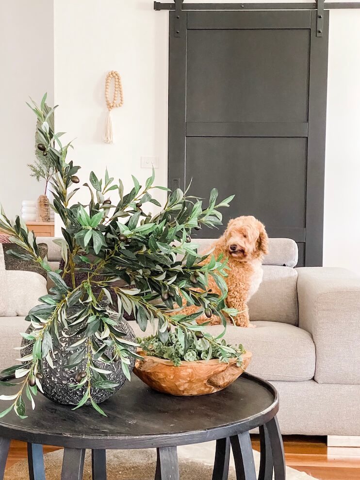 fake olive branches in vase