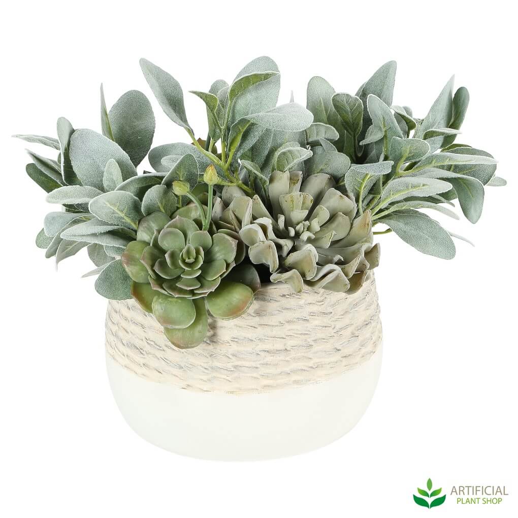 Frosted succulents in a decorative pot