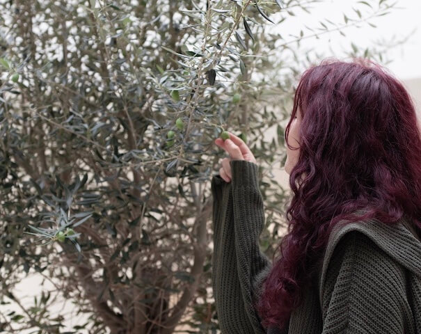 woman feeling fake olive tree leaves