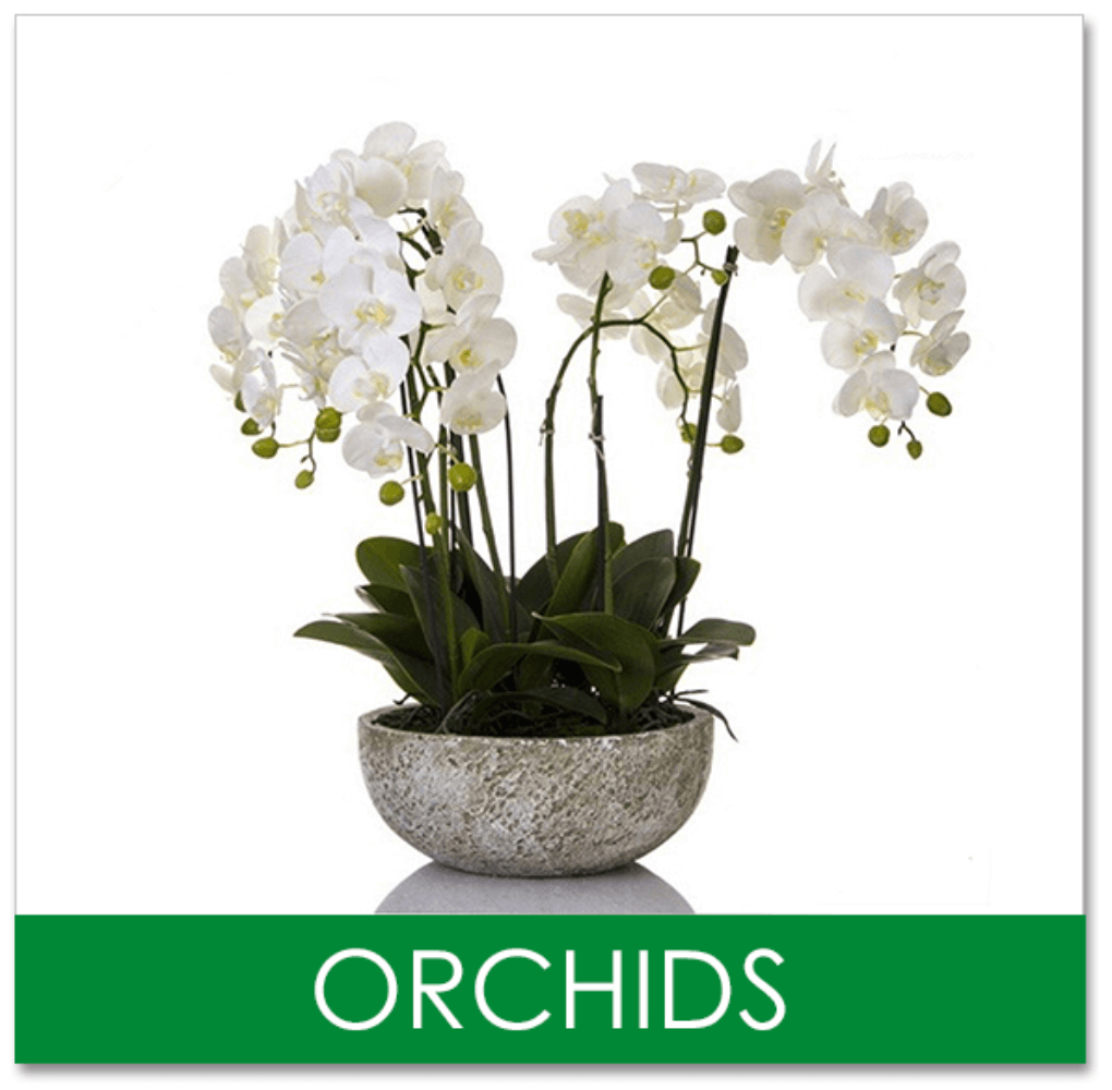 Artificial Orchids