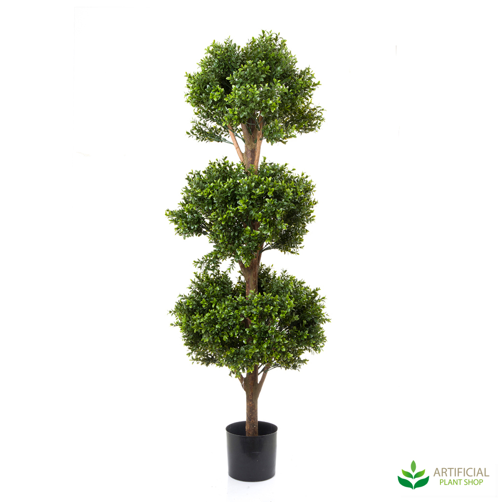 triple ball topiary tree