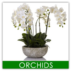 Artificial Orchids