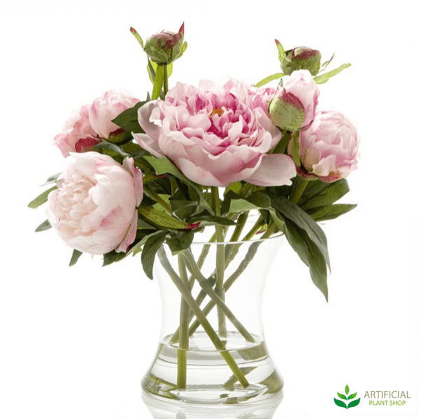 Peony Flowers in Glass Vase