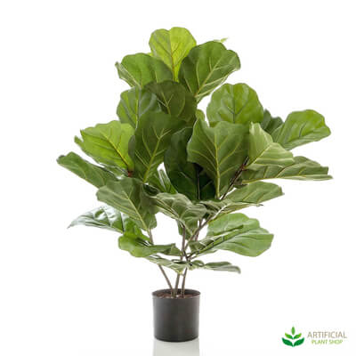 Fiddle Leaf Tree 65cm