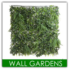 Variegated Wall Foliage