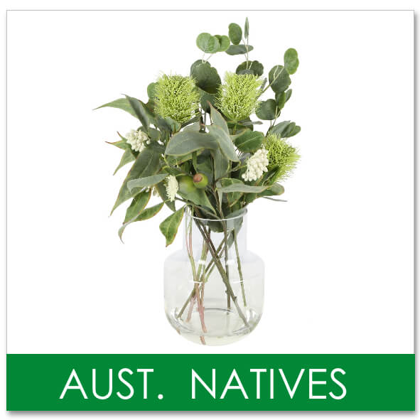 artificial Australian native arrangements