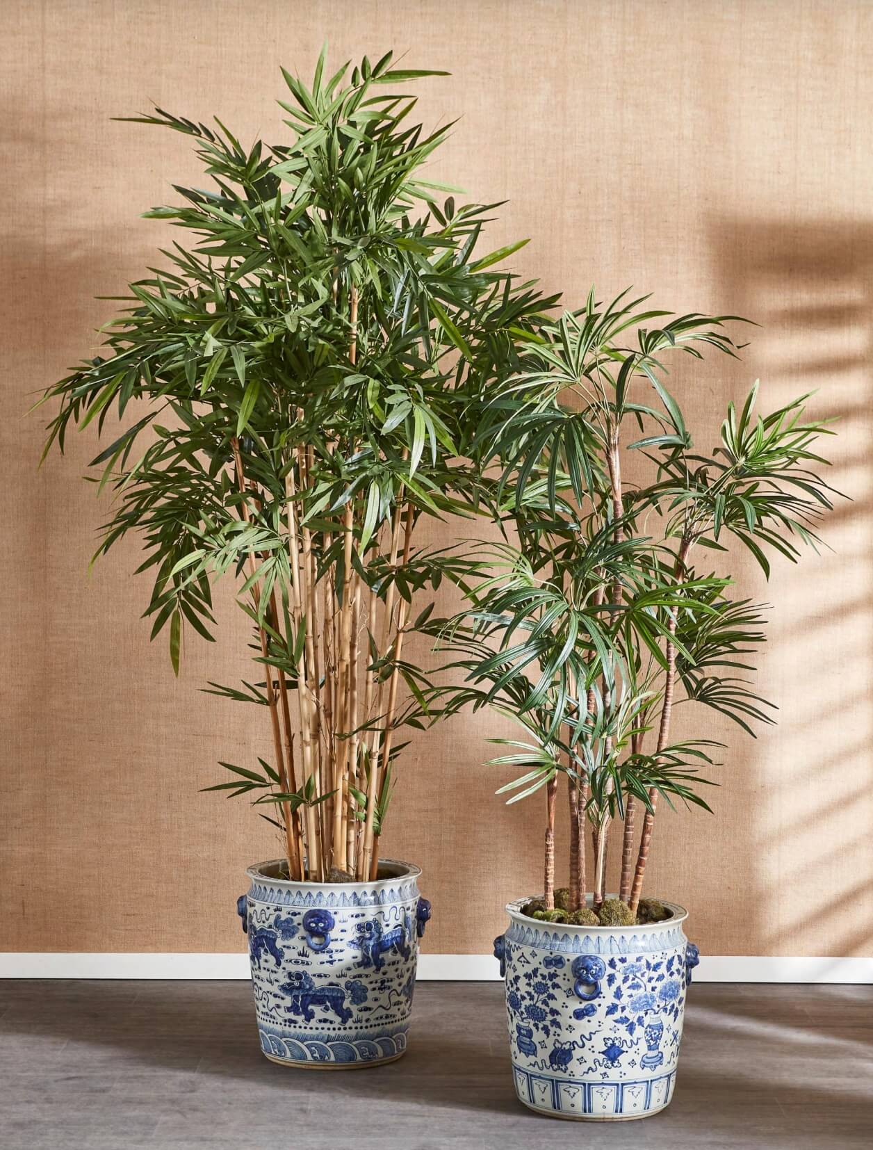 bamboo tree and palm tree in matching pots