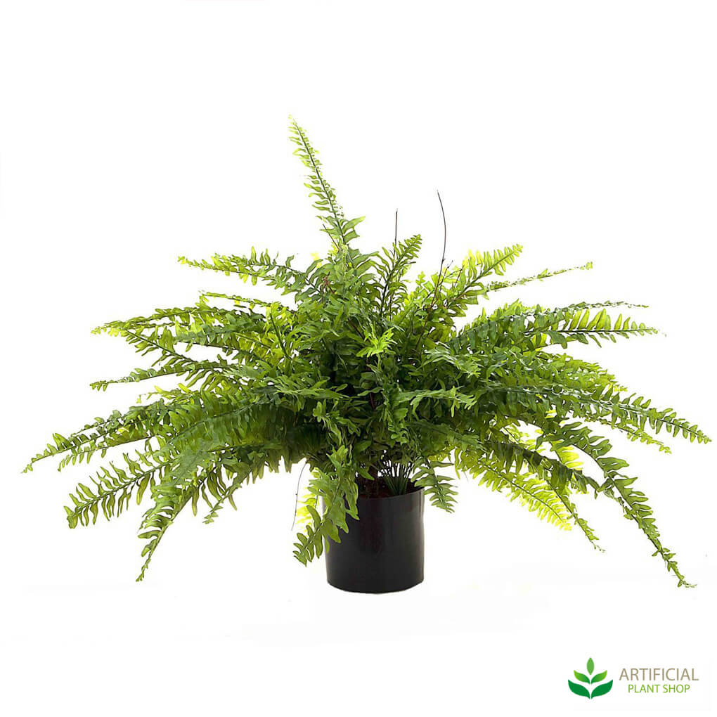 Artificial Boston Fern 80cm