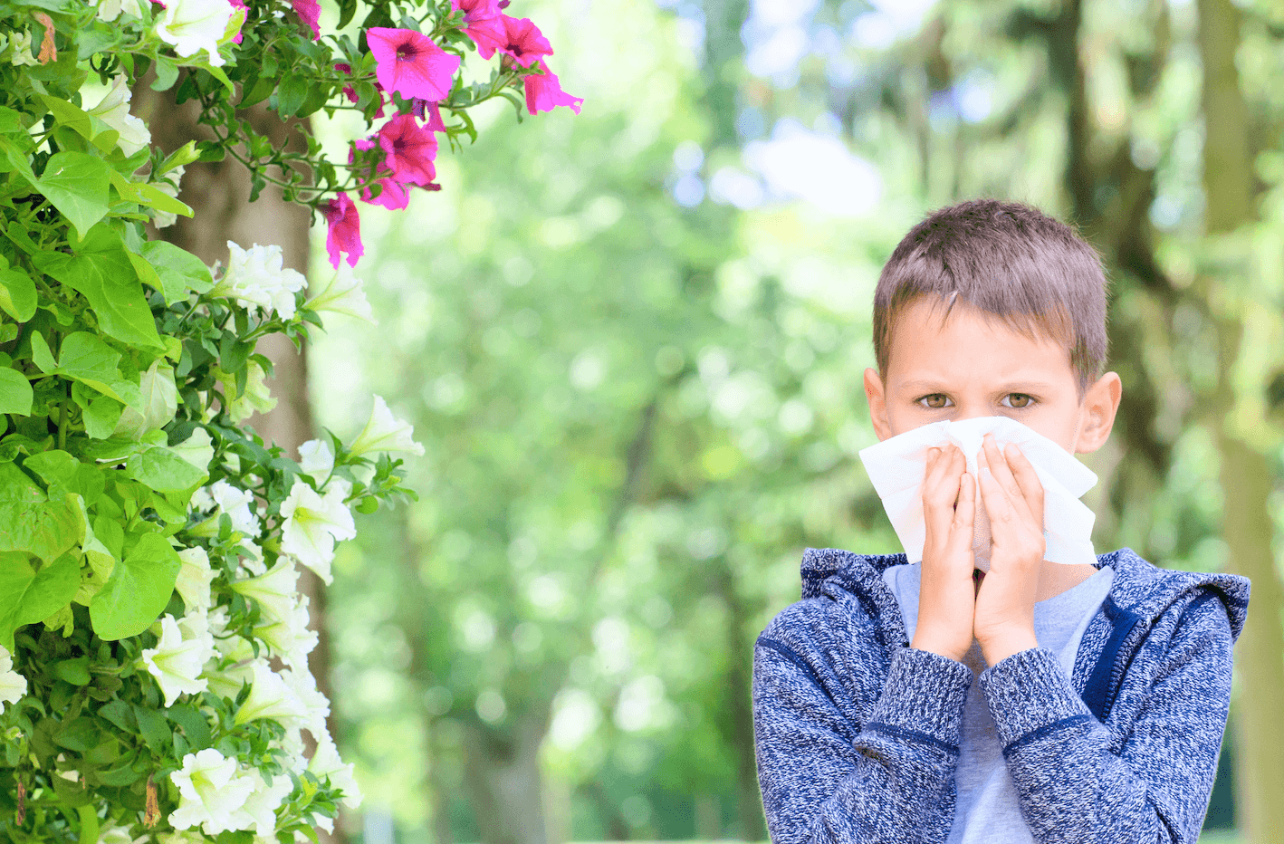 boy sneezing from allergies