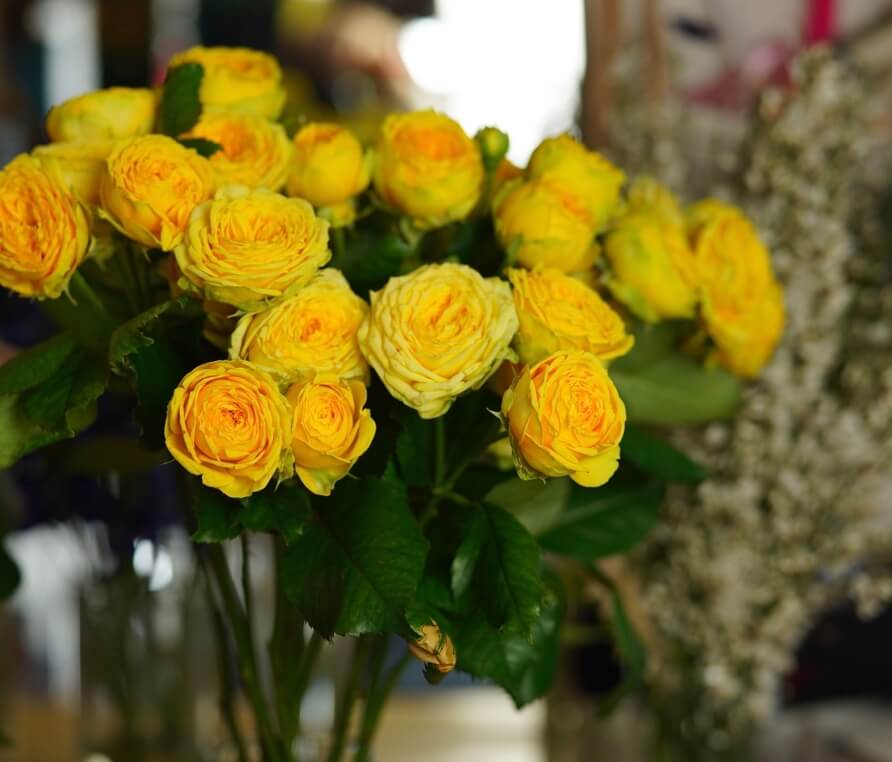 bunch of yellow roses