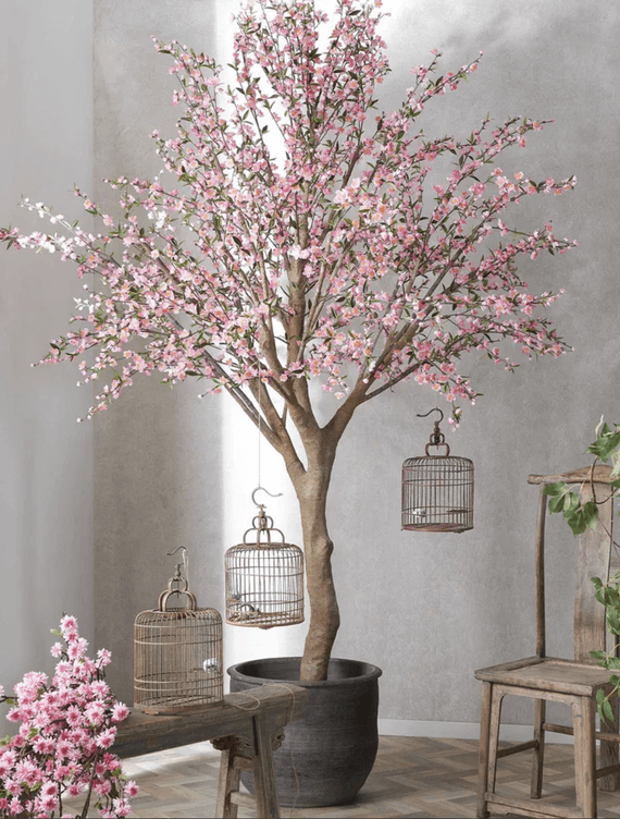 pink cherry blossom tree