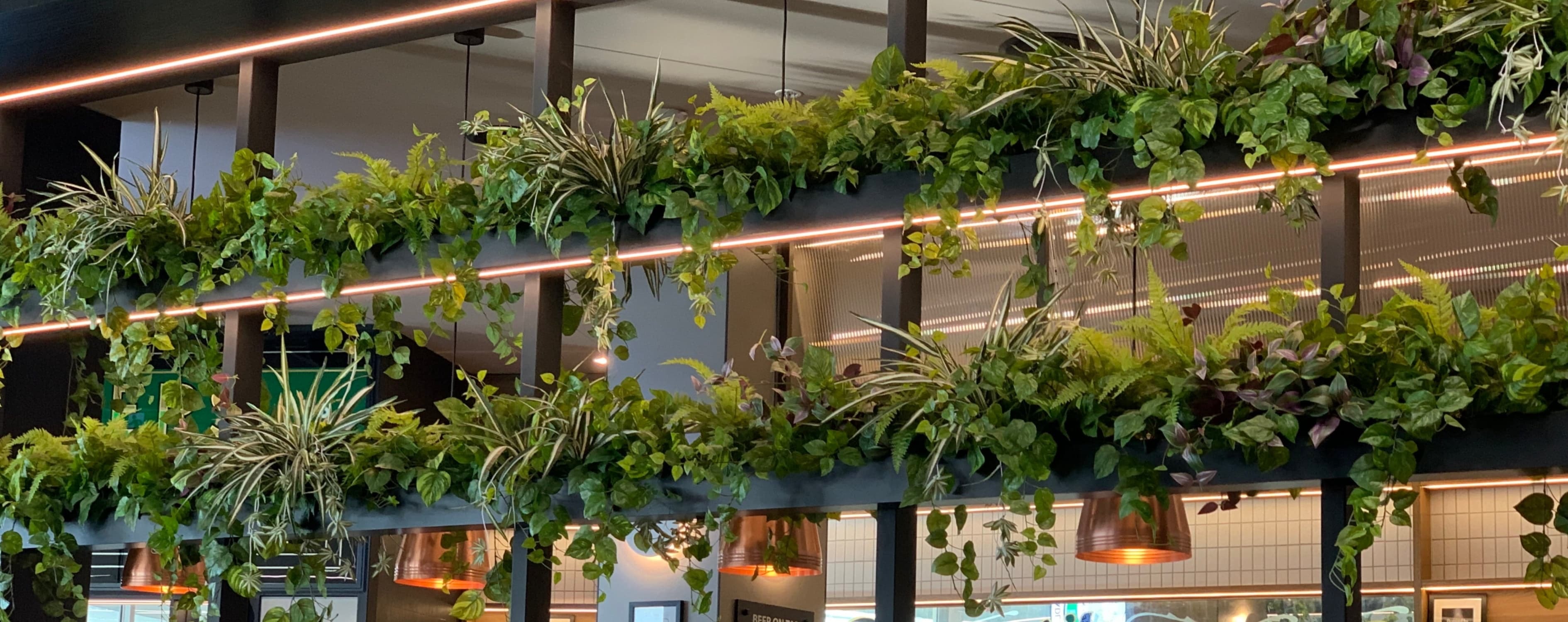 Coopers Ale House installation