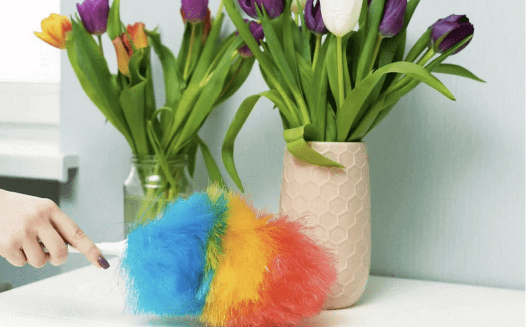 using a feather duster on fake plants