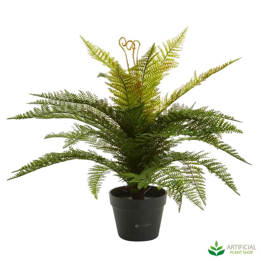 Lifelike Potted Boston fern 