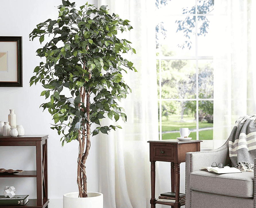 faux ficus tree in a white planter