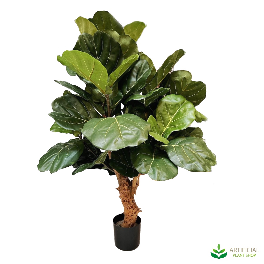 Fiddle leaf tree