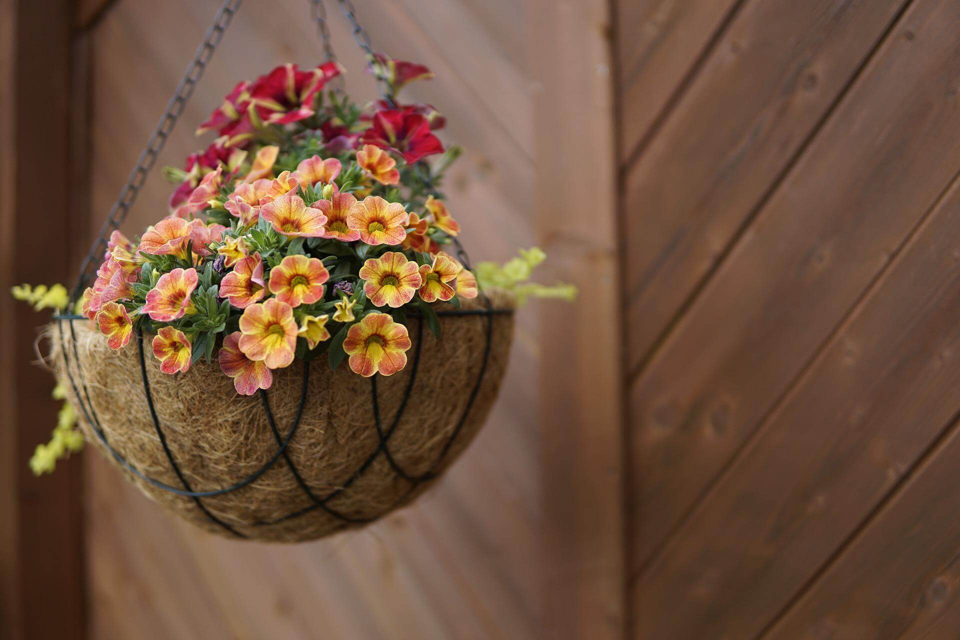 faux flowers in a hanging basket