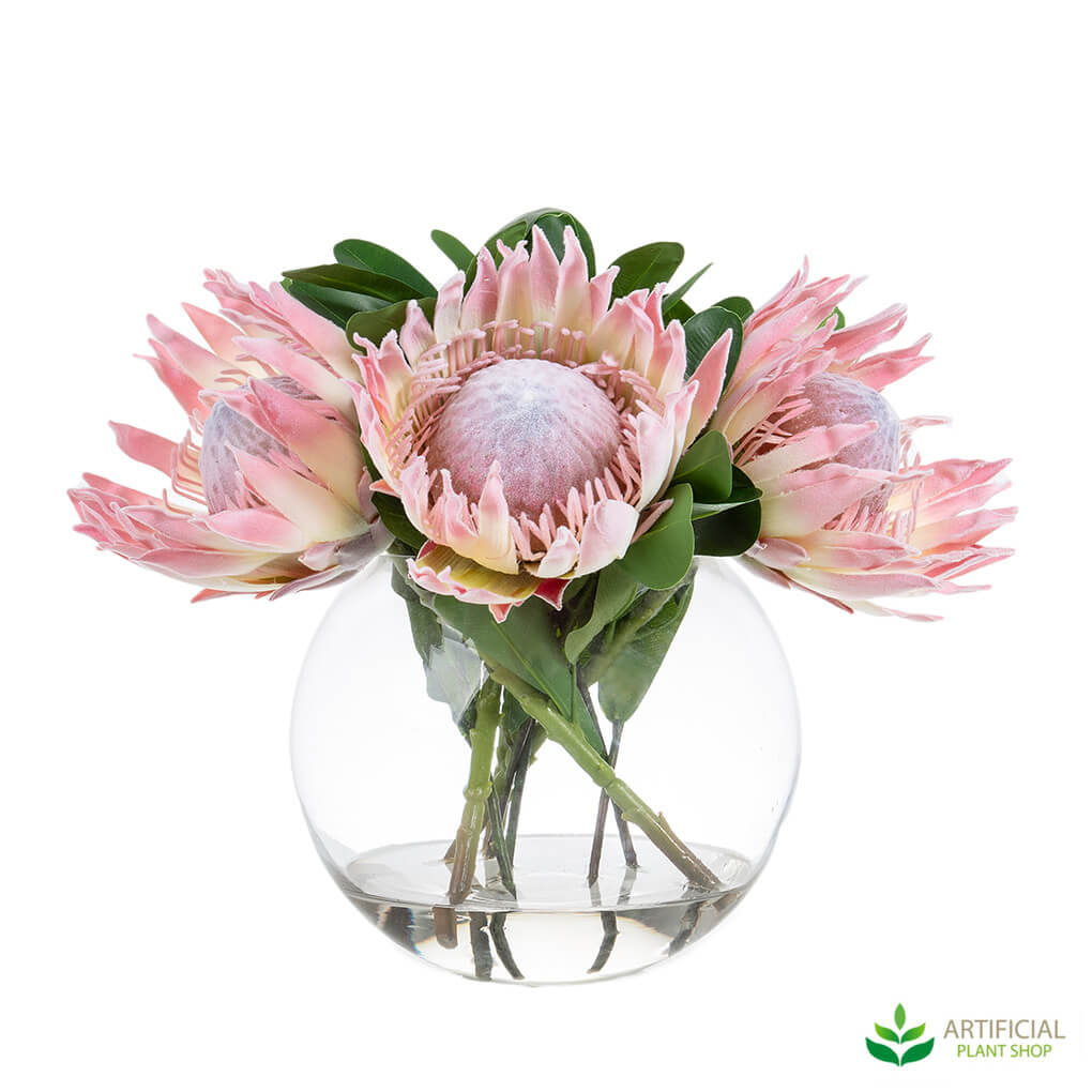Pink Protea in Glass Vase