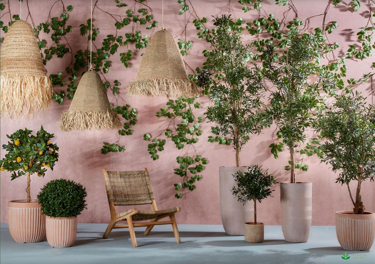 House plants and trees