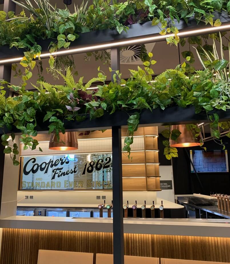 coopers ale house plant installation 