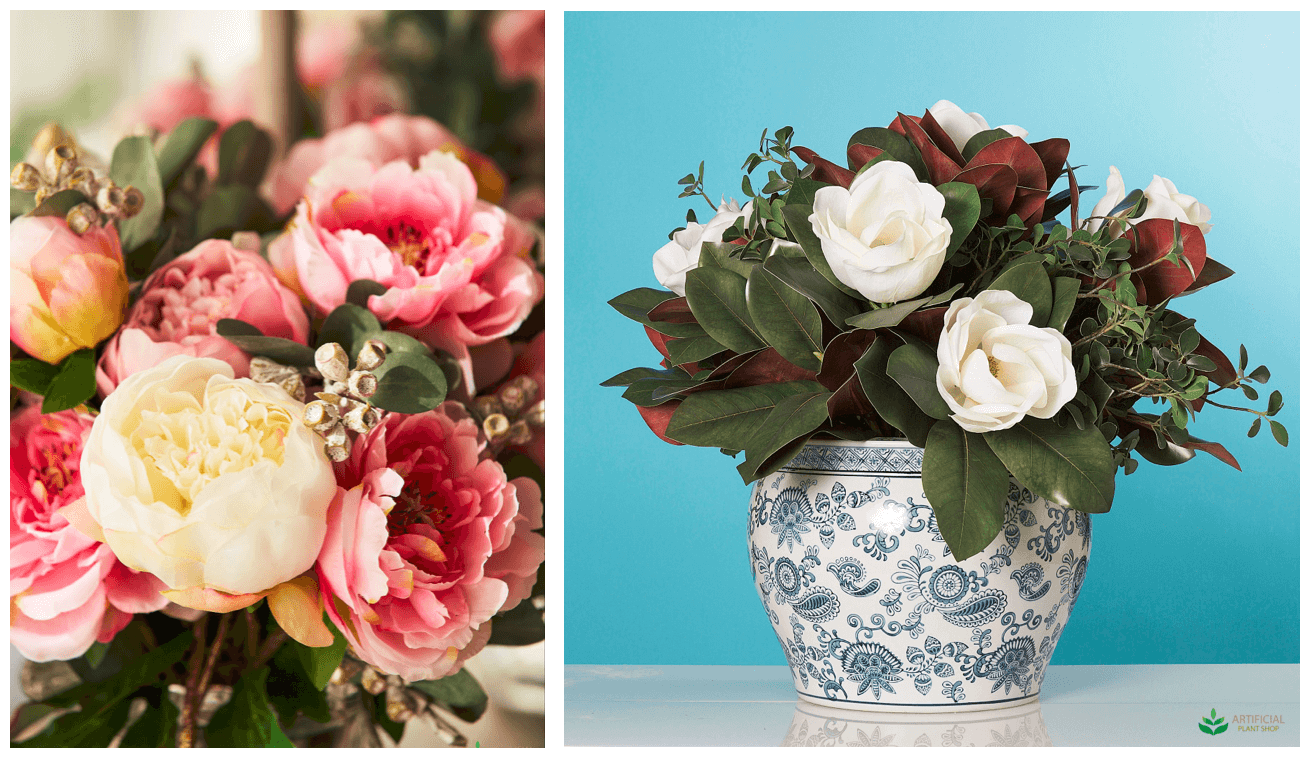 peony flowers and magnolia flowers 