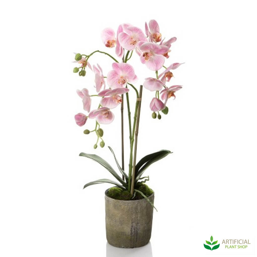 Pink Fake Orchid in Terracotta Pot