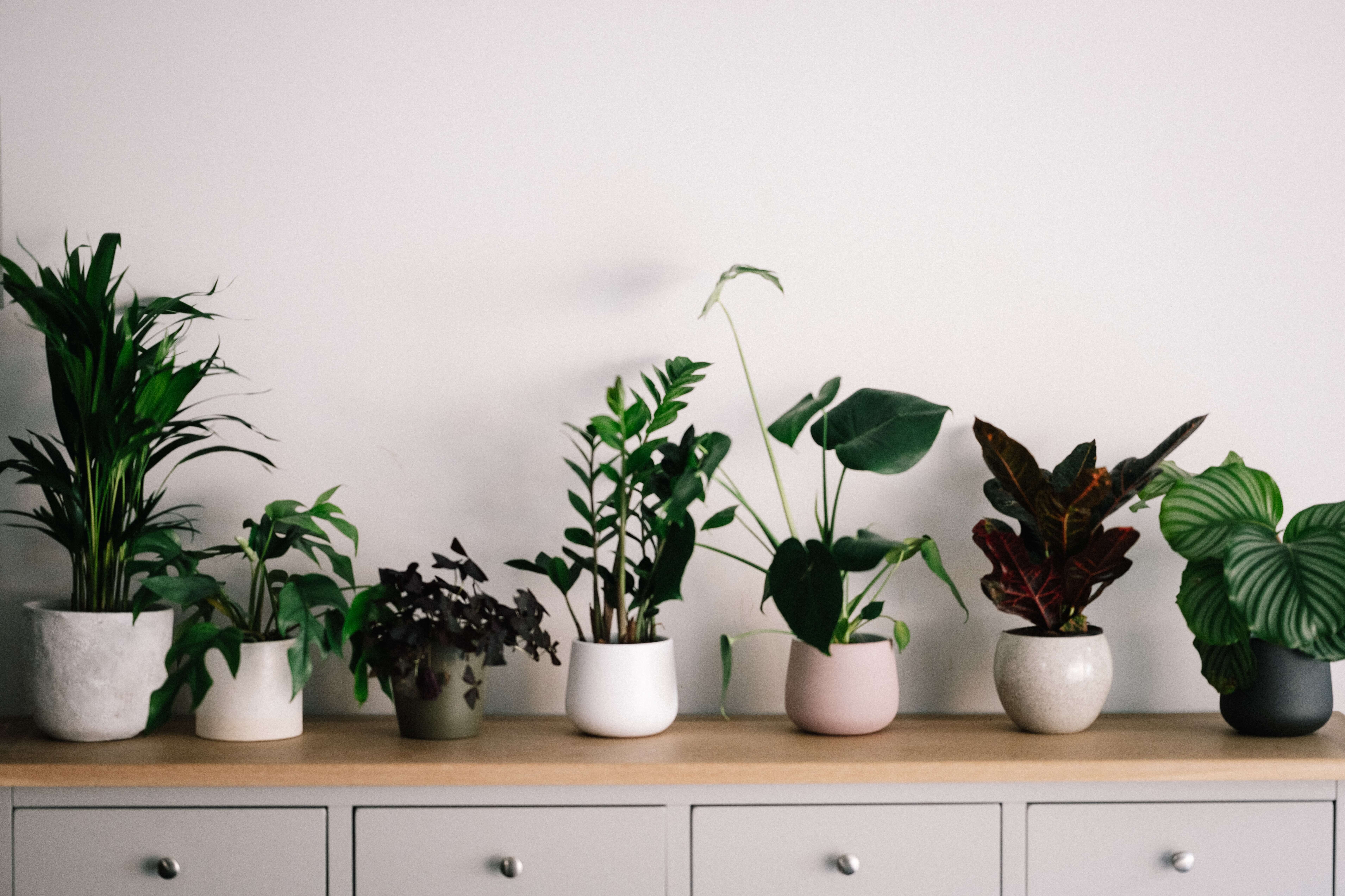 faux plants on a shelf