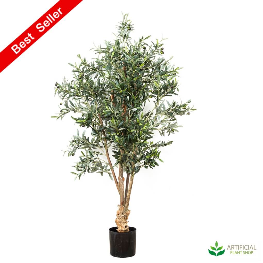 Lifelike olive trees