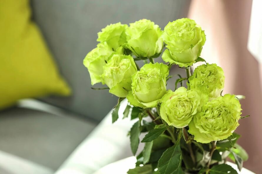 green rose stems