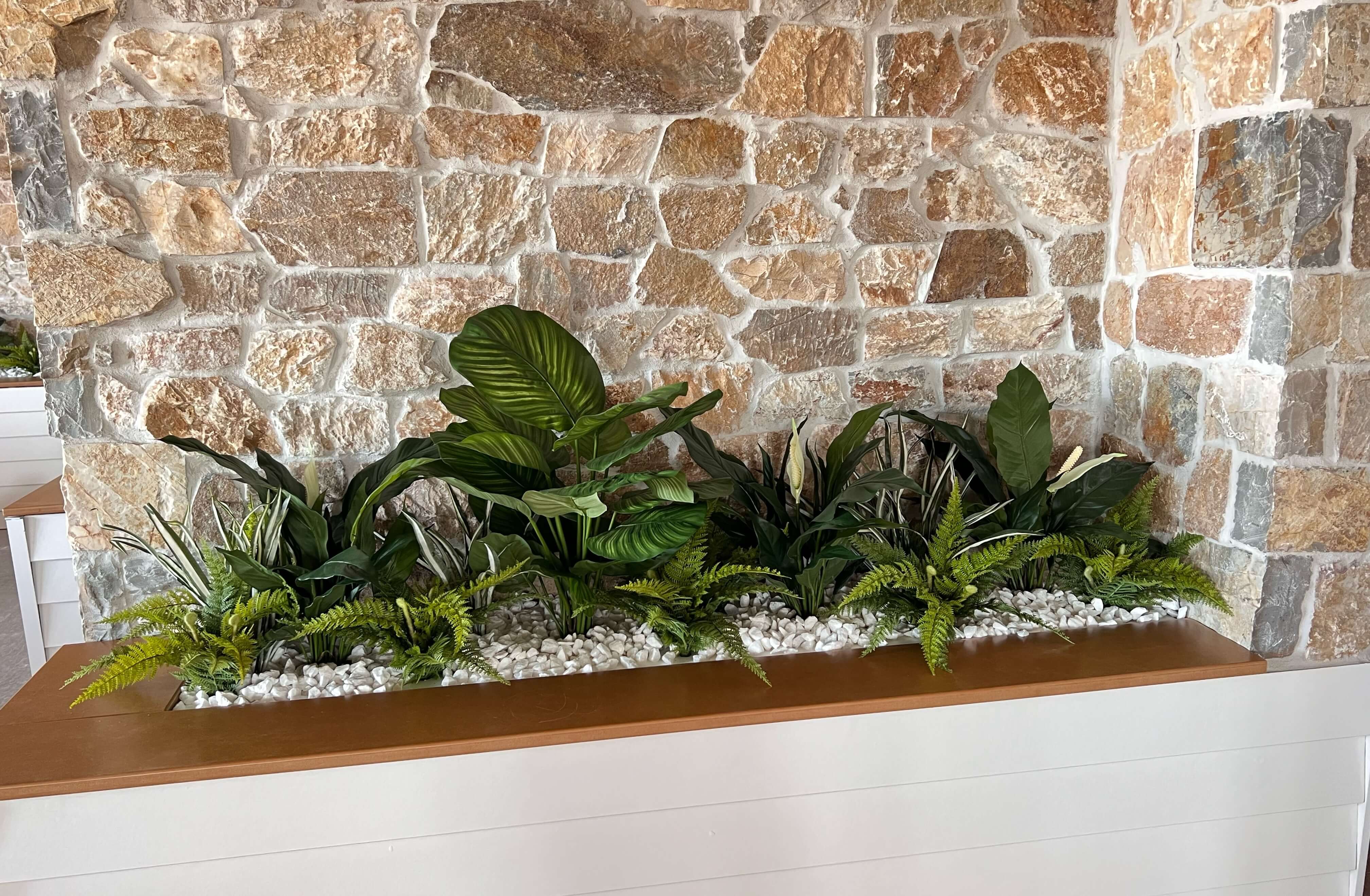 lush green plants in a planter box