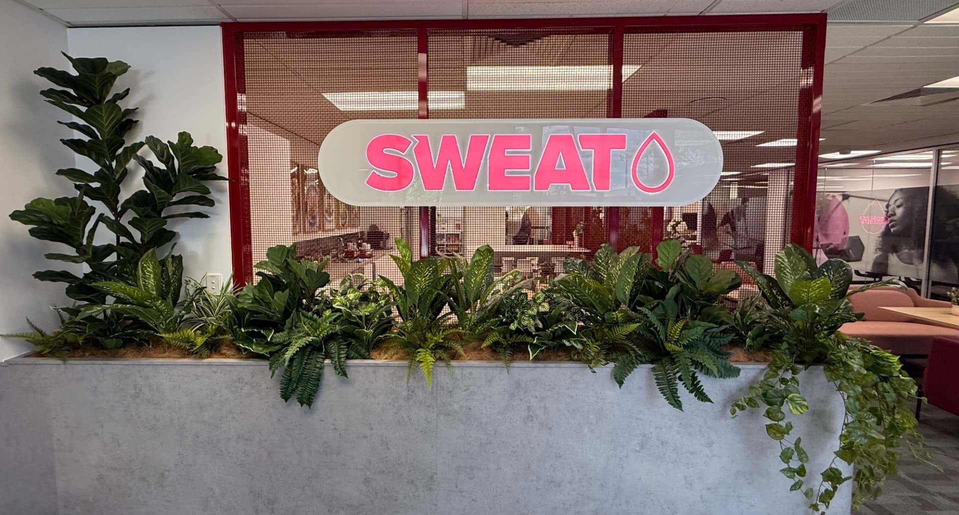 Sweat Offices installation
