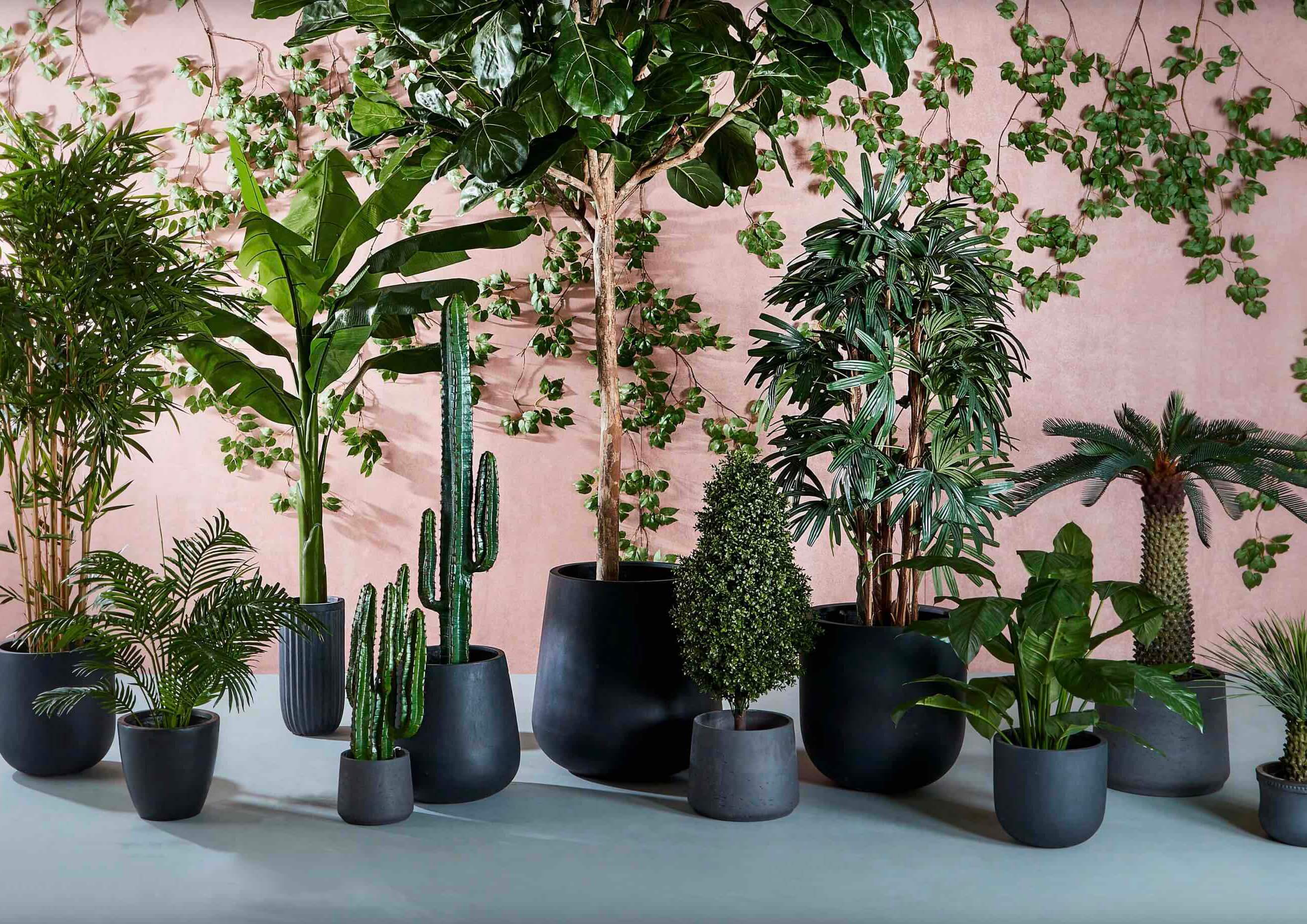 collection of potted artificial plants