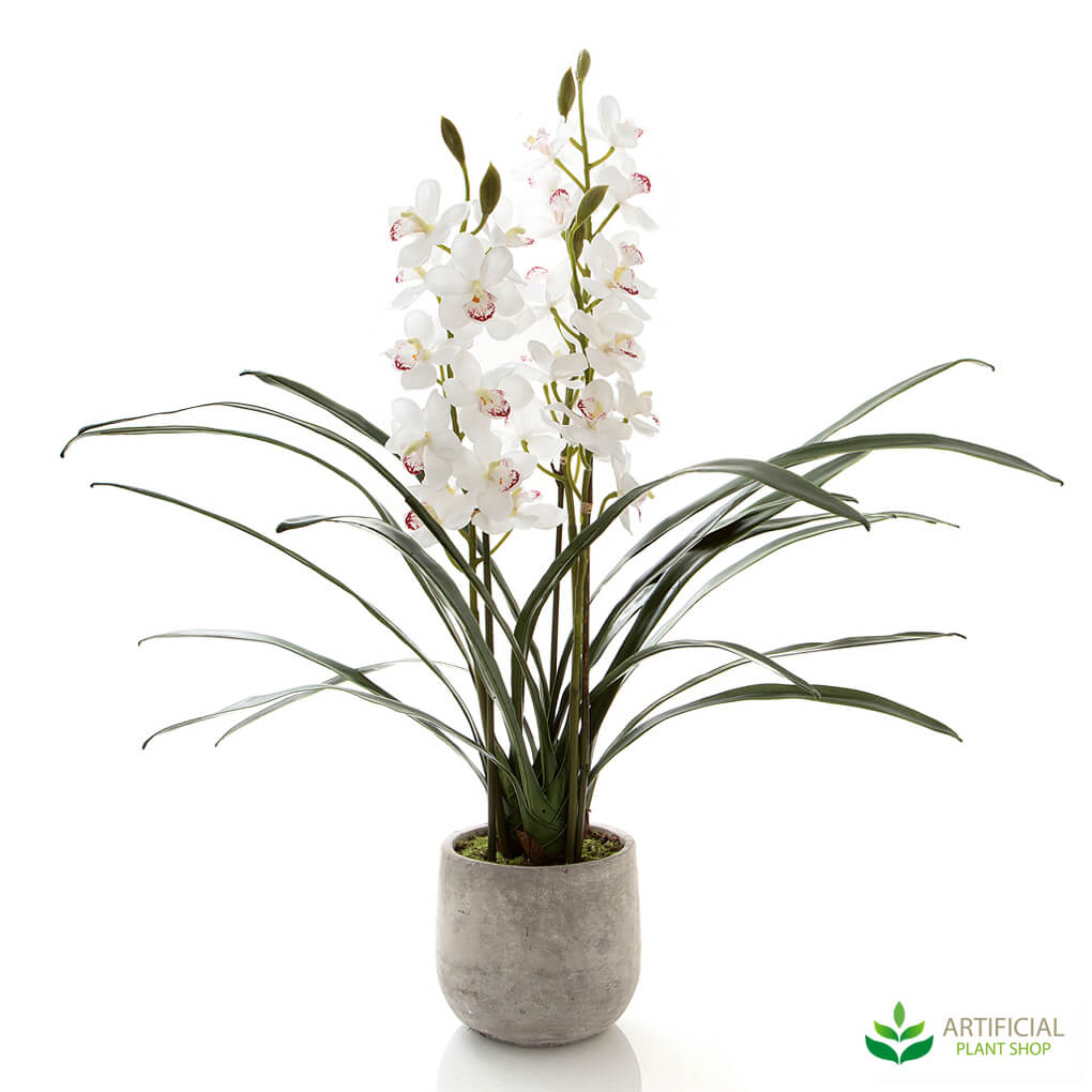 Fake flowers - cymbidium orchid