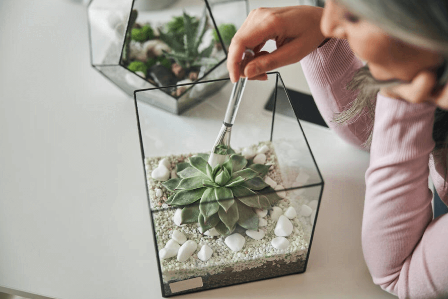 woman cleaning faux succulents