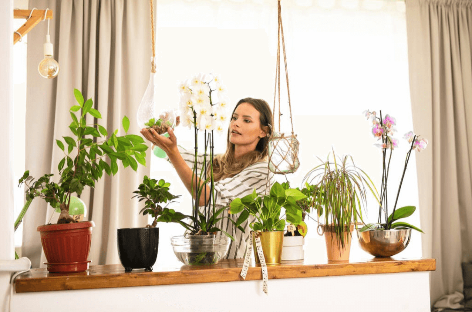 woman looking after plants
